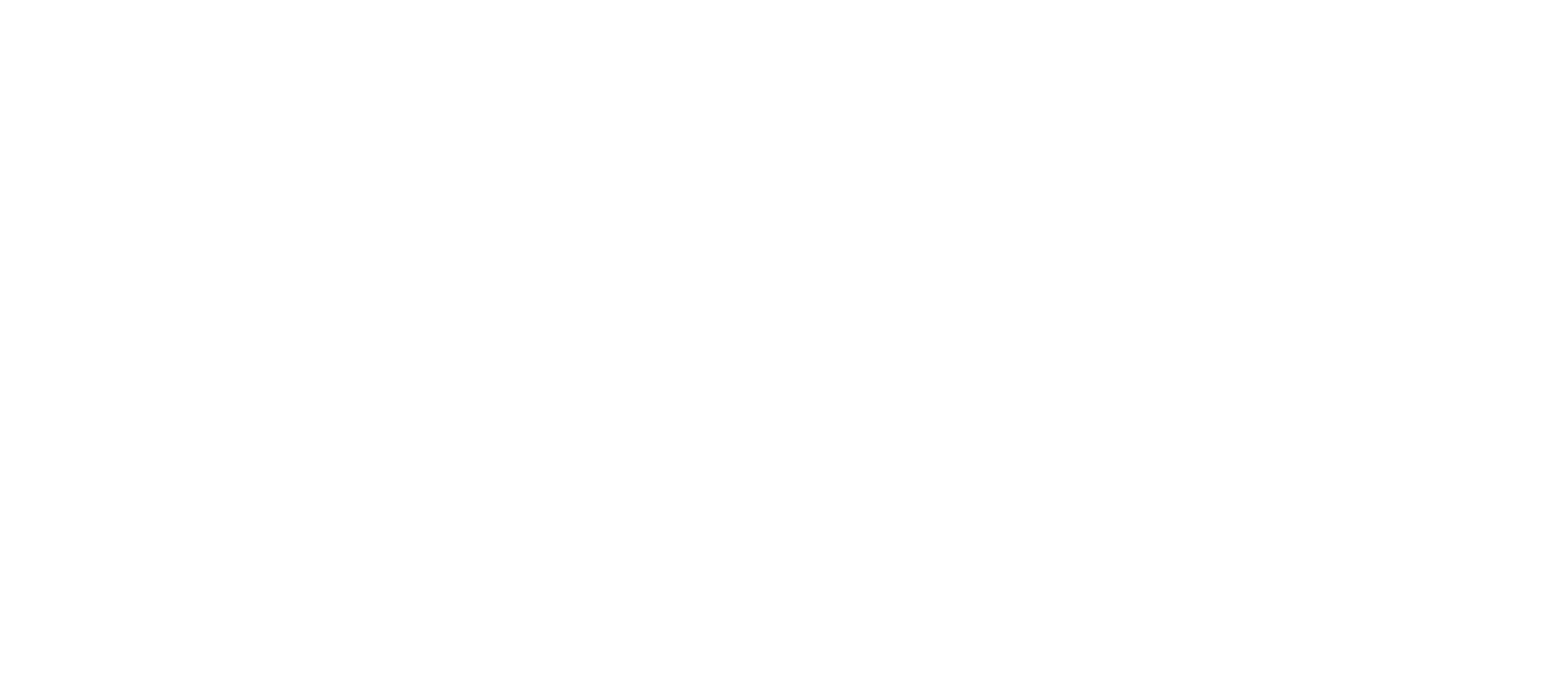 Broad Sense Solutions logo